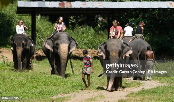 Tourists ride elephants in Pinawella village near Kandy, Sri Lanka.