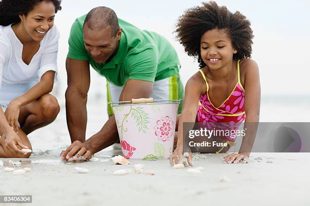 family together on beach - family gathering seashells on beach stock pictures, royalty-free photos & images