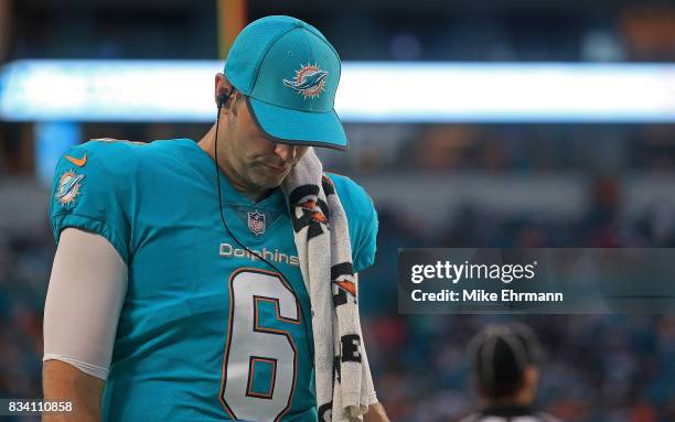 Jay Cutler of the Miami Dolphins looks on during a preseason game against the Baltimore Ravens at Hard Rock Stadium on August 17, 2017 in Miami...