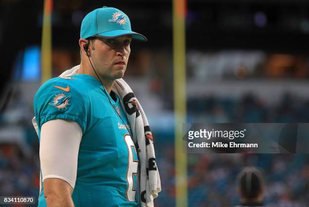 Jay Cutler of the Miami Dolphins looks on during a preseason game against the Baltimore Ravens at Hard Rock Stadium on August 17, 2017 in Miami...