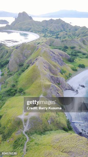 komodo island. - komodo island stock-fotos und bilder