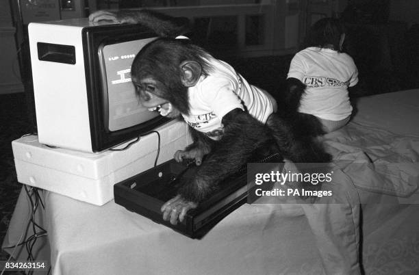 Chimpanzee William of Twycross Zoo, Leicester helps to launch CBS Electronics new generation of TV games, at a London hotel.