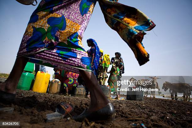 Women in colorful, flowing fabrics gather around a shared human and animal watering hole in central Africa where water is an incredibly valuable...