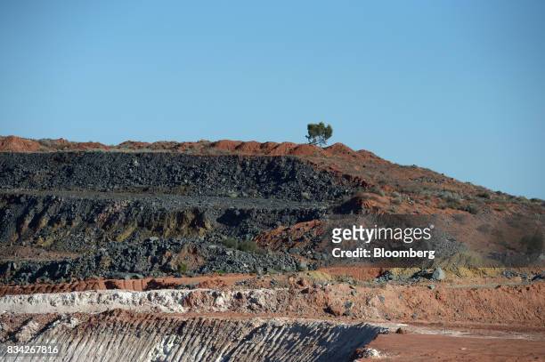 Salt bush sits on the lip of the White Foil open pit mine at Evolution Mining Ltd.'s gold operations in Mungari, Australia, on Tuesday, Aug. 8, 2017....