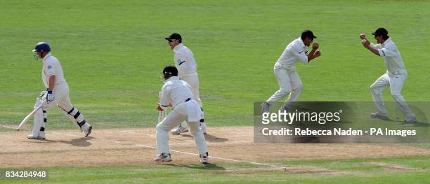 England batsman Tim Ambrose is caught out by New Zealand's Ross Taylor during the 3rd Test at McLean Park, Napier, New Zealand.