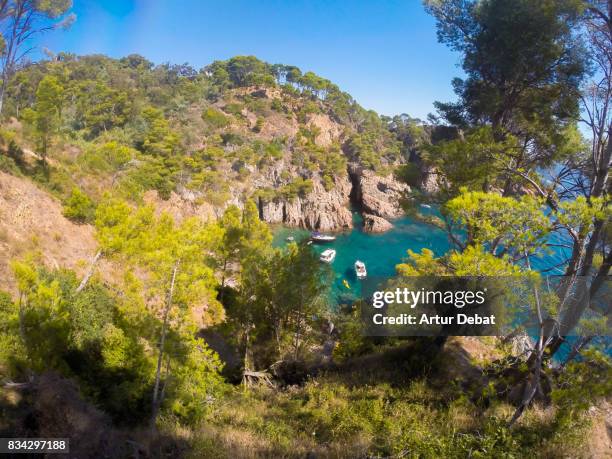 the beautiful shoreline of costa brava mediterranean sea during summer vacations in a paradise place between the rocky terrain with pine trees and beautiful emerald color of the water. - calella de palafrugell fotografías e imágenes de stock