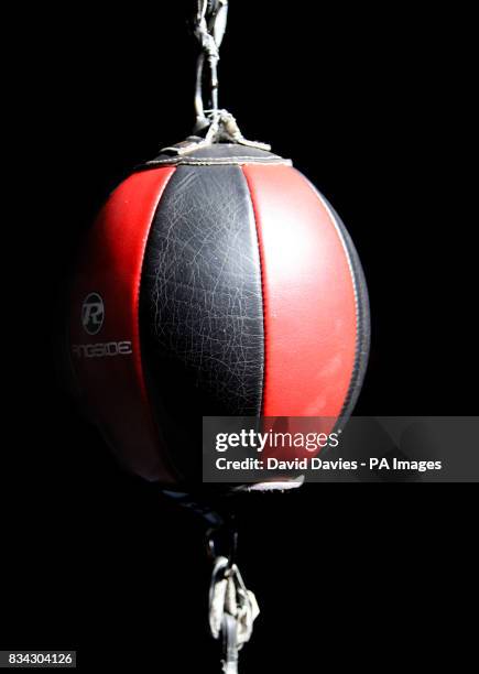 General view of a Red and Black Ringside Double End Bag