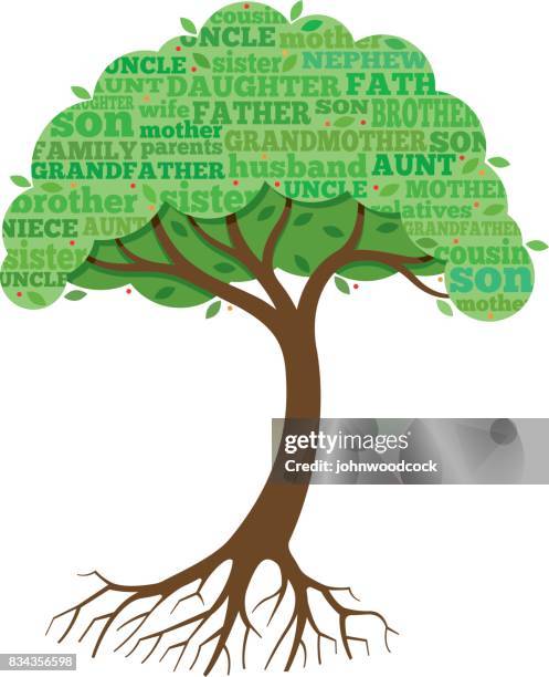 flat family tree with roots vector illustration - multiple generations stock illustrations