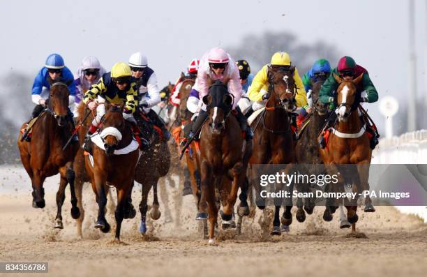 Sir Duke and jockey John Egan eventual winners of the First since 1927 Handicap stakes at Great Leighs Racecourse in Chelmsford, Essex.