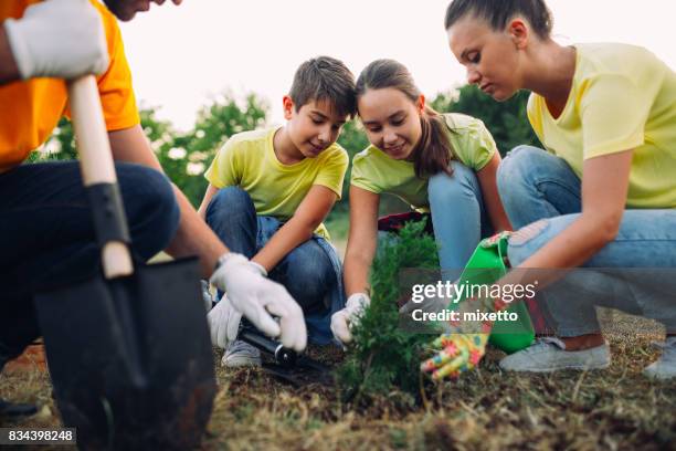 together in the park - kids gardening stock pictures, royalty-free photos & images