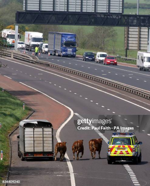 Templepatrick Crash 295 Templepatrick Stock Photos, High-Res Pictures, and Images - Getty ...