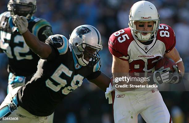 Jerheme Urban of the Arizona Cardinals tries to run away from Thomas Davis of the Carolina Panthers during their game on October 26, 2008 at Bank of...