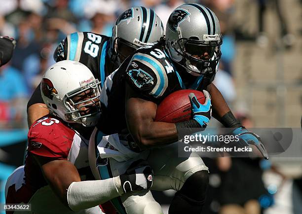 Calais Campbell of the Arizona Cardinals tackles DeAngelo Williams of the Carolina Panthers during their game on October 26, 2008 at Bank of America...