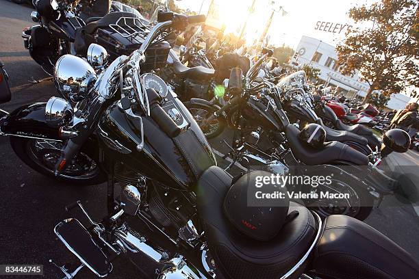 Motorcycles are parked at the 25th Annual Love Ride on October 26, 2008 in Los Angeles, California.