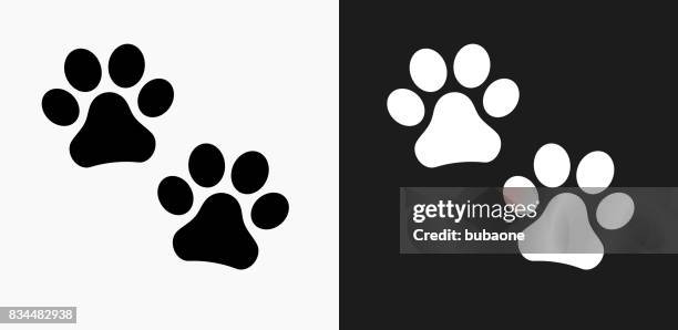 ilustrações de stock, clip art, desenhos animados e ícones de paw prints icon on black and white vector backgrounds - pegada de pata de animal