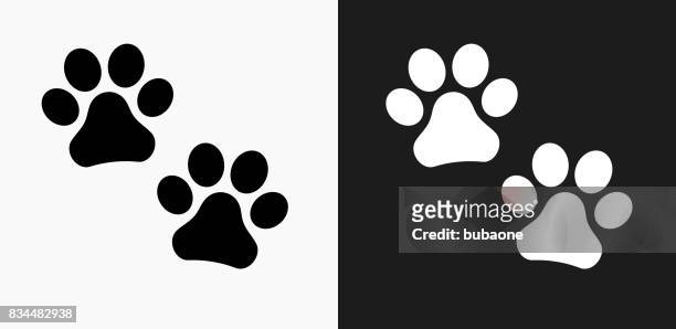 4,748 Paw Print Photos and Premium High Res Pictures - Getty Images