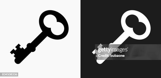old key icon on black and white vector backgrounds - locksmith stock illustrations
