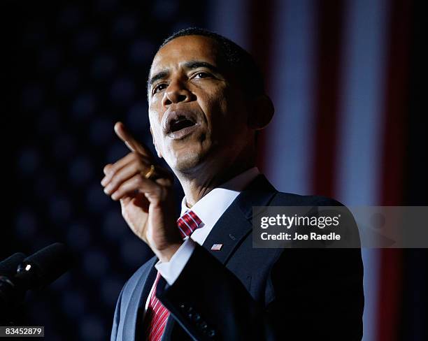 Democratic presidential nominee U.S. Sen. Barack Obama speaks during a campaign rally at Canton Civic Center October 27, 2008 in Canton, Ohio. Obama...