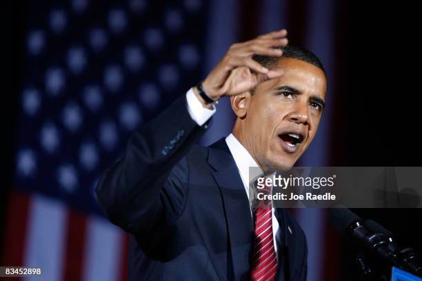 Democratic presidential nominee U.S. Sen. Barack Obama speaks during a campaign rally at Canton Civic Center October 27, 2008 in Canton, Ohio. Obama...