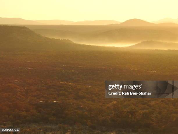 bushveld area near khorixas - bosveld van zuidelijk afrika stockfoto's en -beelden
