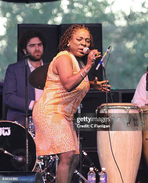 Vocalist/Sharon Jones and The Dap Kings perform during the 2008 Voodoo Music Festival at New Orleans City Park on October 26, 2008 in New Orleans,...