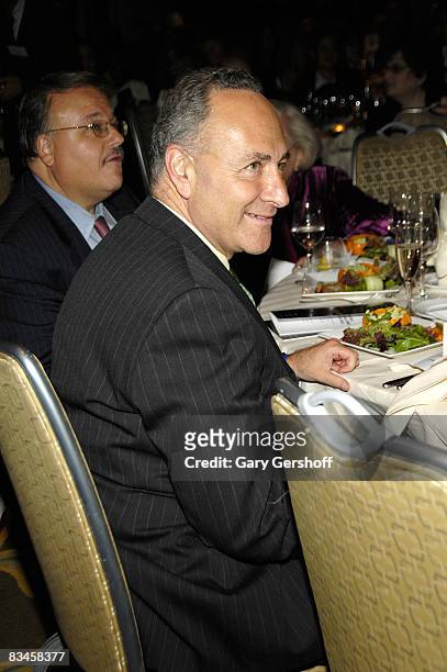 Sen. Charles E. Schumer addresses invited guests at the 38th Feminist Press "Women Write The World" gala at the Grand Hyatt on October 27, 2008 in...