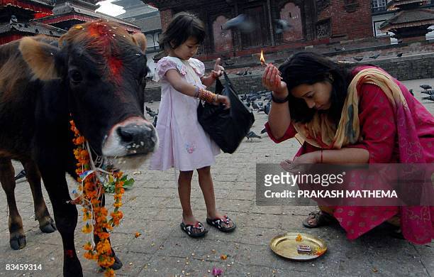 Nepalese Hindu women worship and offer fruits to a cow, regarded as an incarnation of the Hindu Goddess of prosperity, Laxmi, during the Tihar...