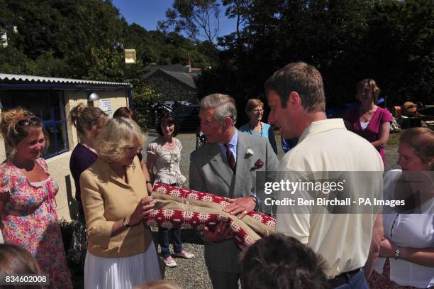 Solva Color 175 Solva Stock Photos, High-Res Pictures, and Images - Getty Images