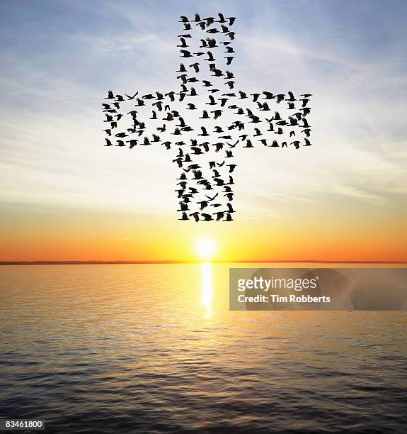 flock of birds flying in plus symbol formation - plus sign stock pictures, royalty-free photos & images