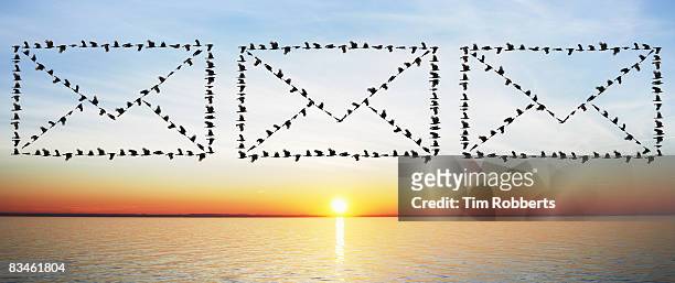 birds flying in email envelope formations - the englsih channel stock pictures, royalty-free photos & images