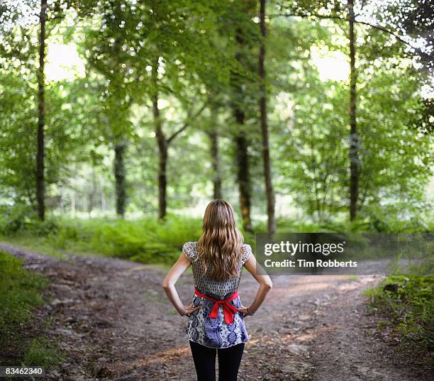 young woman using laptop sat on tree trunk in fore - 分かれ道 ストックフォトと画像