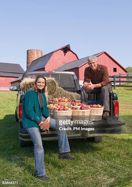 couple on back of pick-up truck with apples, portr - pick up truck back stock-fotos und bilder