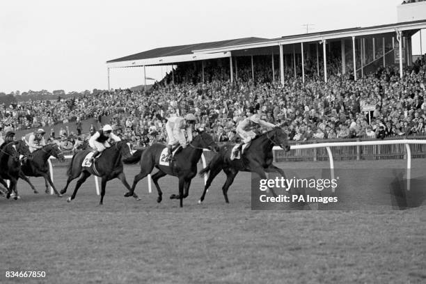 The finish of the race when the Barnsley trainer Steve Norton took first and second place. Winner "Leysh", John Lowe riding can be seen right, with...