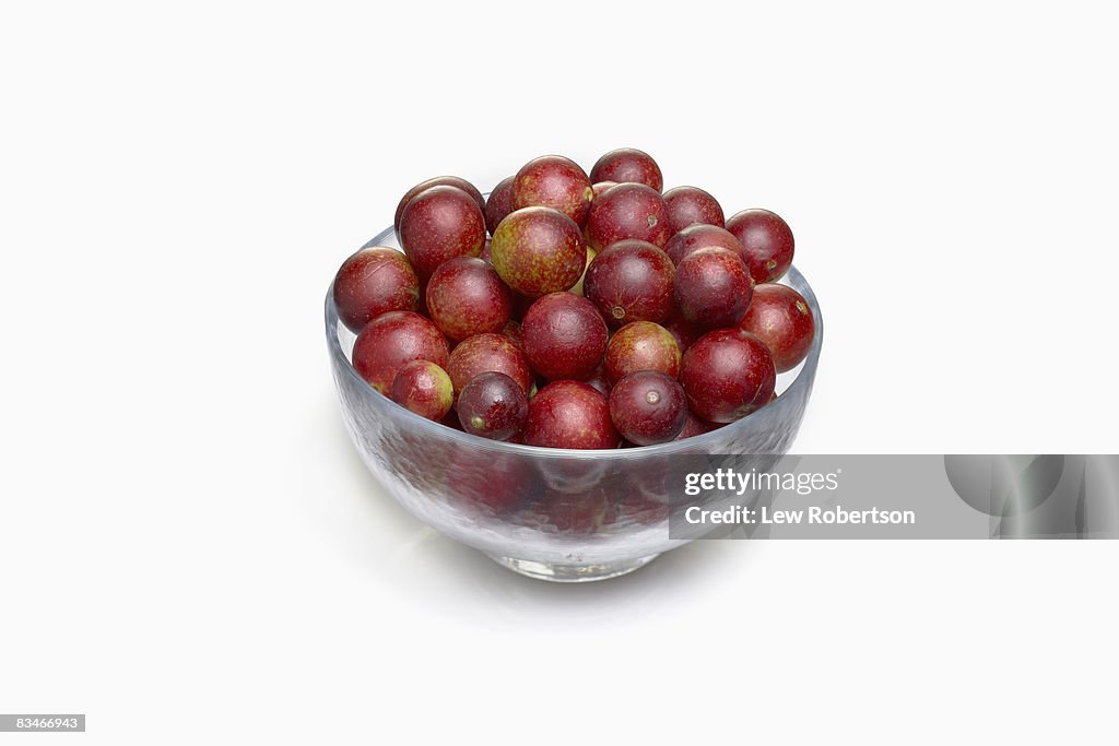 Camu Camu Berries