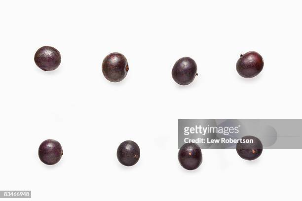 acai berries  - acai berry stock pictures, royalty-free photos & images