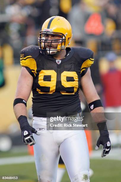 Brett Keisel of the Pittsburgh Steelers walks on the field during the game against the New York Giants at Heinz Field on October 26, 2008 in...