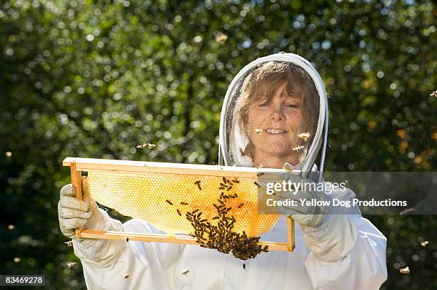 bee keeper working with bee hives - colmena fotografías e imágenes de stock