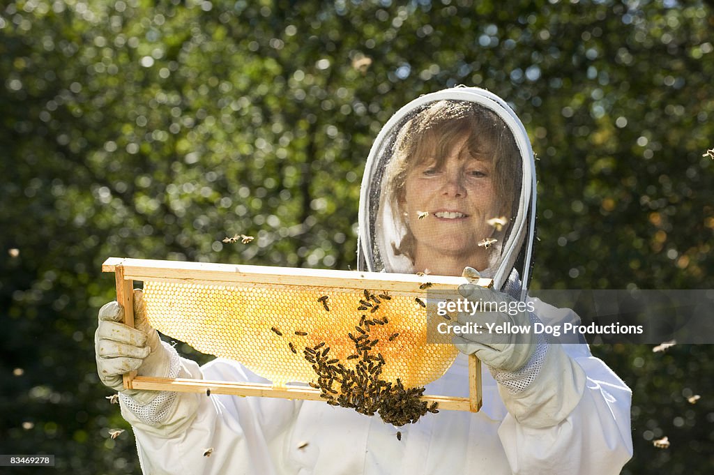 Bee Keeper Working with Bee Hives