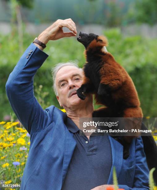 Monty Python star John Cleese feeds grapes to Colin the red ruffed lemur, during a visit to Bristol Zoo Gardens.