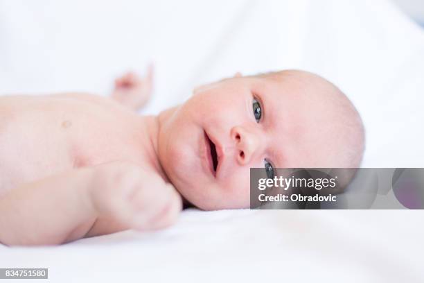 baby boy on white bed - baby girl laying on tummy stock pictures, royalty-free photos & images