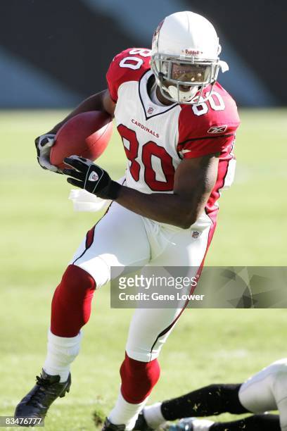 Arizona Cardinals wide receiver Early Doucet makes a catch and runs down field during a game against the Carolina Panthers at Bank of America Stadium...