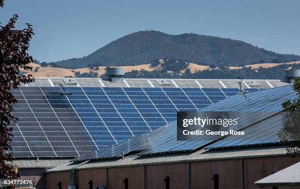 Rooftop array of solar panels is viewed at Clos du Bois Winery on August 1 near Geyserville, California. Following a record winter rainfall on the...