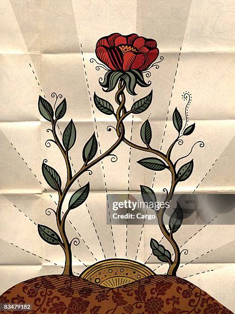 Two Flowers Intertwined Photos and Premium High Res Pictures - Getty Images