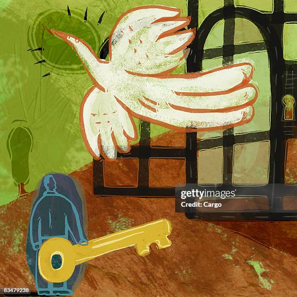 a man holding a key,   freeing a large bird from a cage - prison release stock illustrations