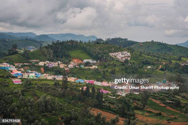 tea estates in the nilgiri ranges - ooty stock pictures, royalty-free photos & images