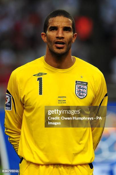 David James, England goalkeeper