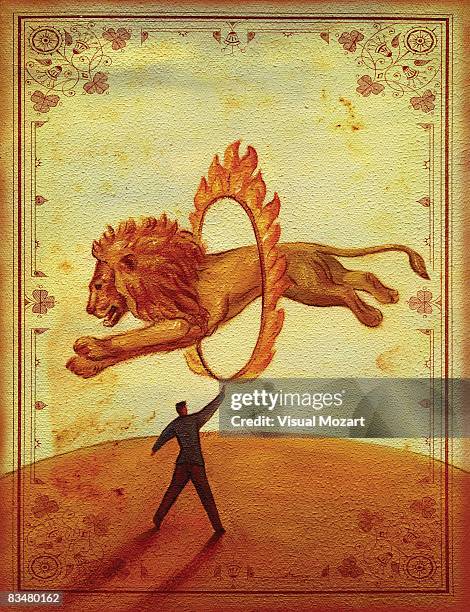 side view of a lion jumping through a ring of fire being held by a man - burning ring of fire stock illustrations