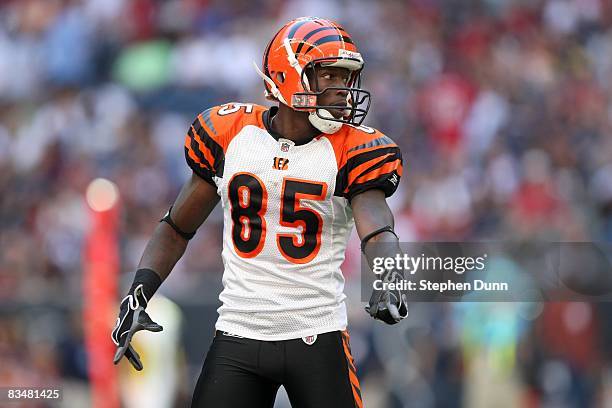 Wide receiver Chad Johnson of the Cincinnati Bengals sets on the line of scrimmage against the Houston Texans on October 26, 2008 at Reliant Stadium...