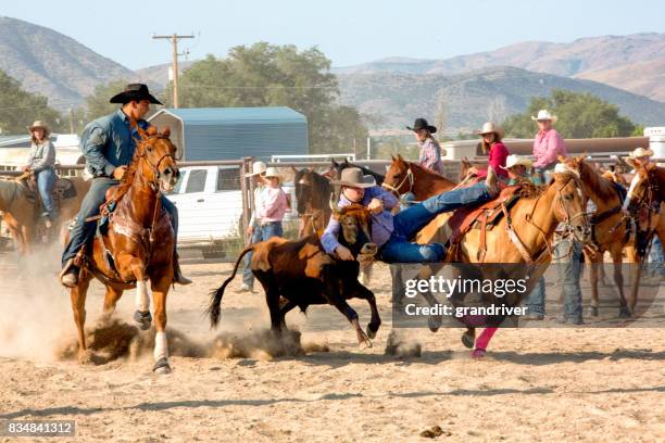 steer wrestling rodeo competition - female wrestling holds stock pictures, royalty-free photos & images