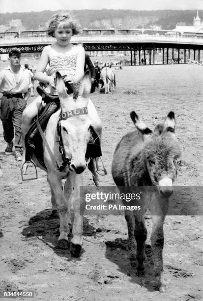 Beach donkey Dorothy keeps an eye on her 2-week old baby Myrtle as she gives children a ride along the beach.